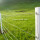 Vee Fence-Hot ondergedompeld gegalvaniseerd Field Fence